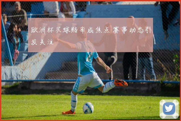 欧洲杯买球赔率成焦点 赛事动态引发关注