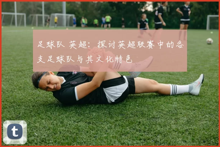 足球队 英超：探讨英超联赛中的各支足球队与其文化特色