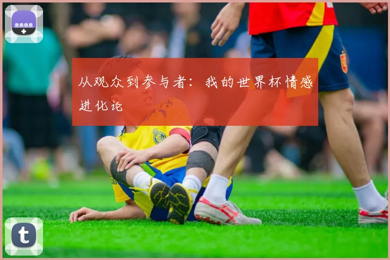 从观众到参与者：我的世界杯情感进化论