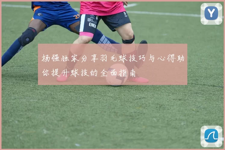 杨强独家分享羽毛球技巧与心得助你提升球技的全面指南