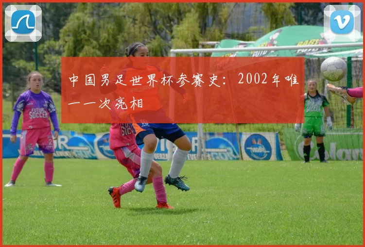 中国男足世界杯参赛史：2002年唯一一次亮相