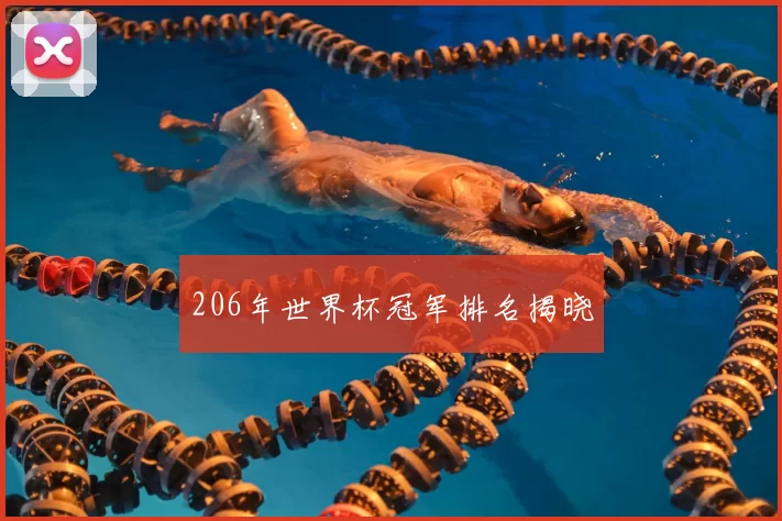 206年世界杯冠军排名揭晓