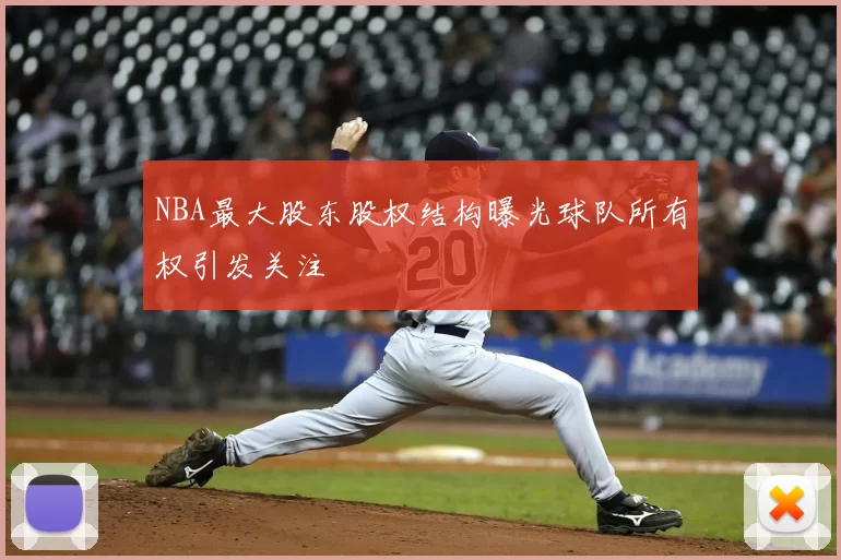 NBA最大股东股权结构曝光球队所有权引发关注