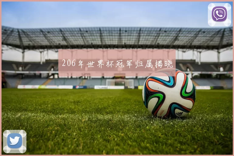206年世界杯冠军归属揭晓