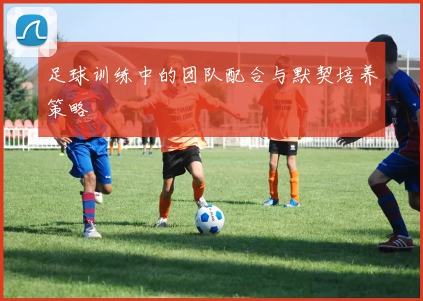 足球训练中的团队配合与默契培养策略