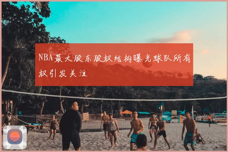 NBA最大股东股权结构曝光球队所有权引发关注