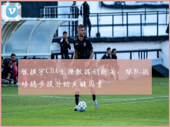 张振宇CBA生涯数据创新高,球队战绩稳步提升的关键因素