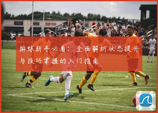 排球新手必看:全面解析状态提升与技巧掌握的入门指南