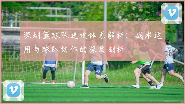 深圳篮球队进攻体系解析：战术运用与球队协作的深度剖析
