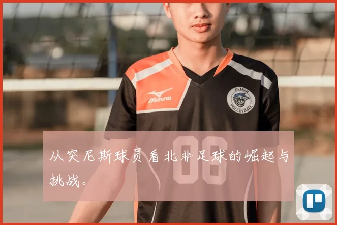 从突尼斯球员看北非足球的崛起与挑战。