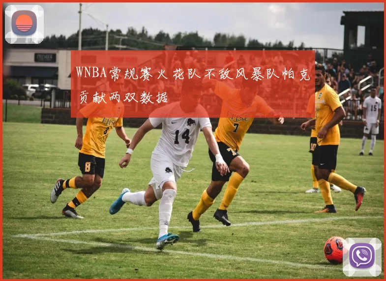 WNBA常规赛火花队不敌风暴队帕克贡献两双数据