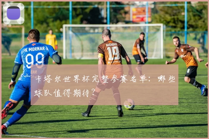 卡塔尔世界杯完整参赛名单：哪些球队值得期待？