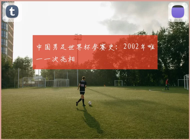 中国男足世界杯参赛史:2002年唯一一次亮相