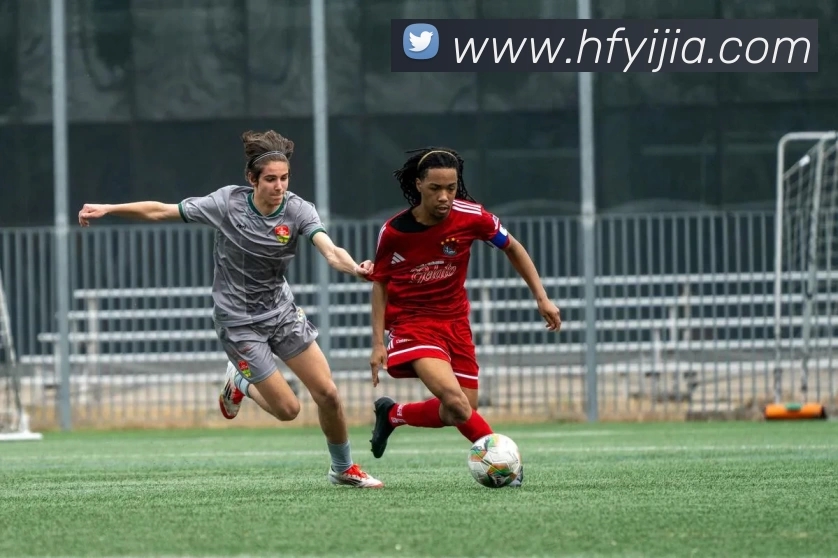 数据防护可视化